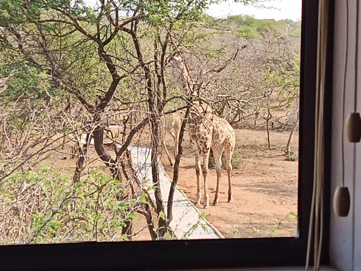 玛洛斯帕克Marloth Kruger View公寓 外观 照片