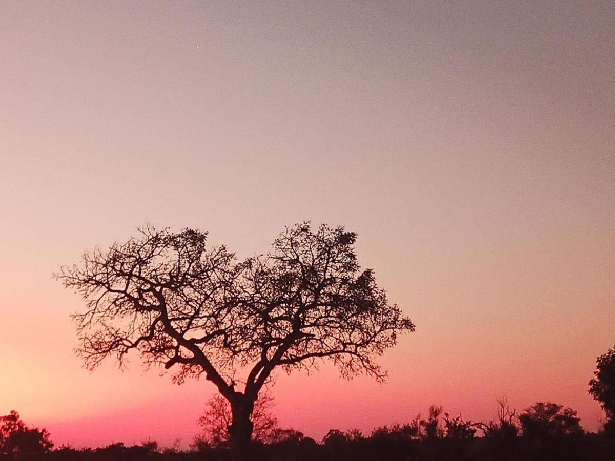 玛洛斯帕克Marloth Kruger View公寓 外观 照片