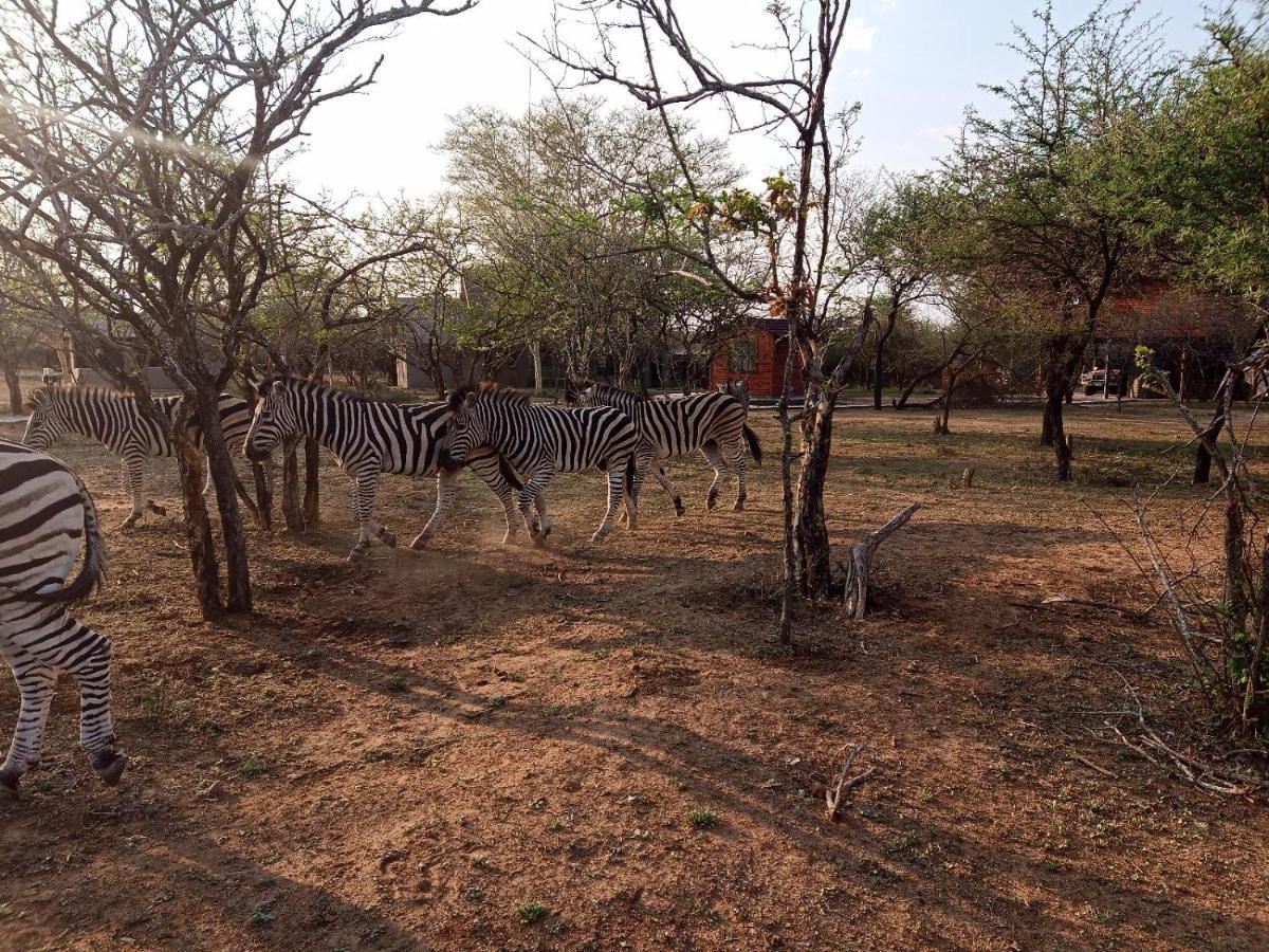玛洛斯帕克Marloth Kruger View公寓 外观 照片