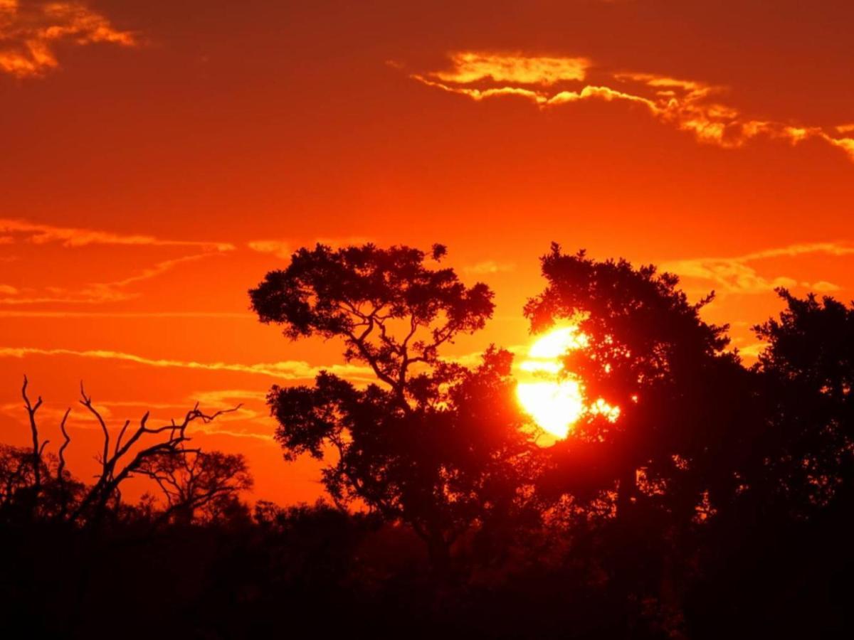 玛洛斯帕克Marloth Kruger View公寓 外观 照片