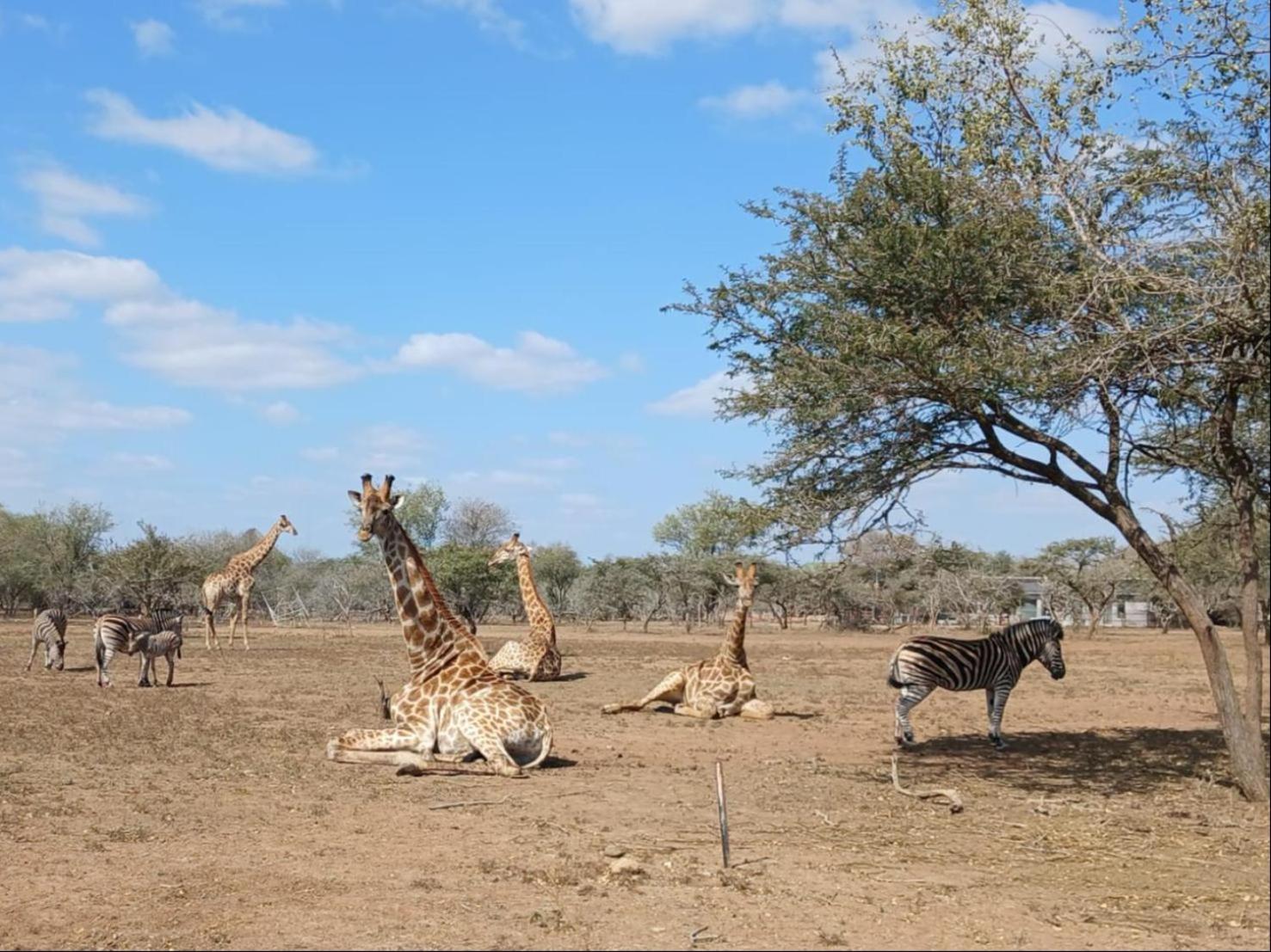 玛洛斯帕克Marloth Kruger View公寓 外观 照片