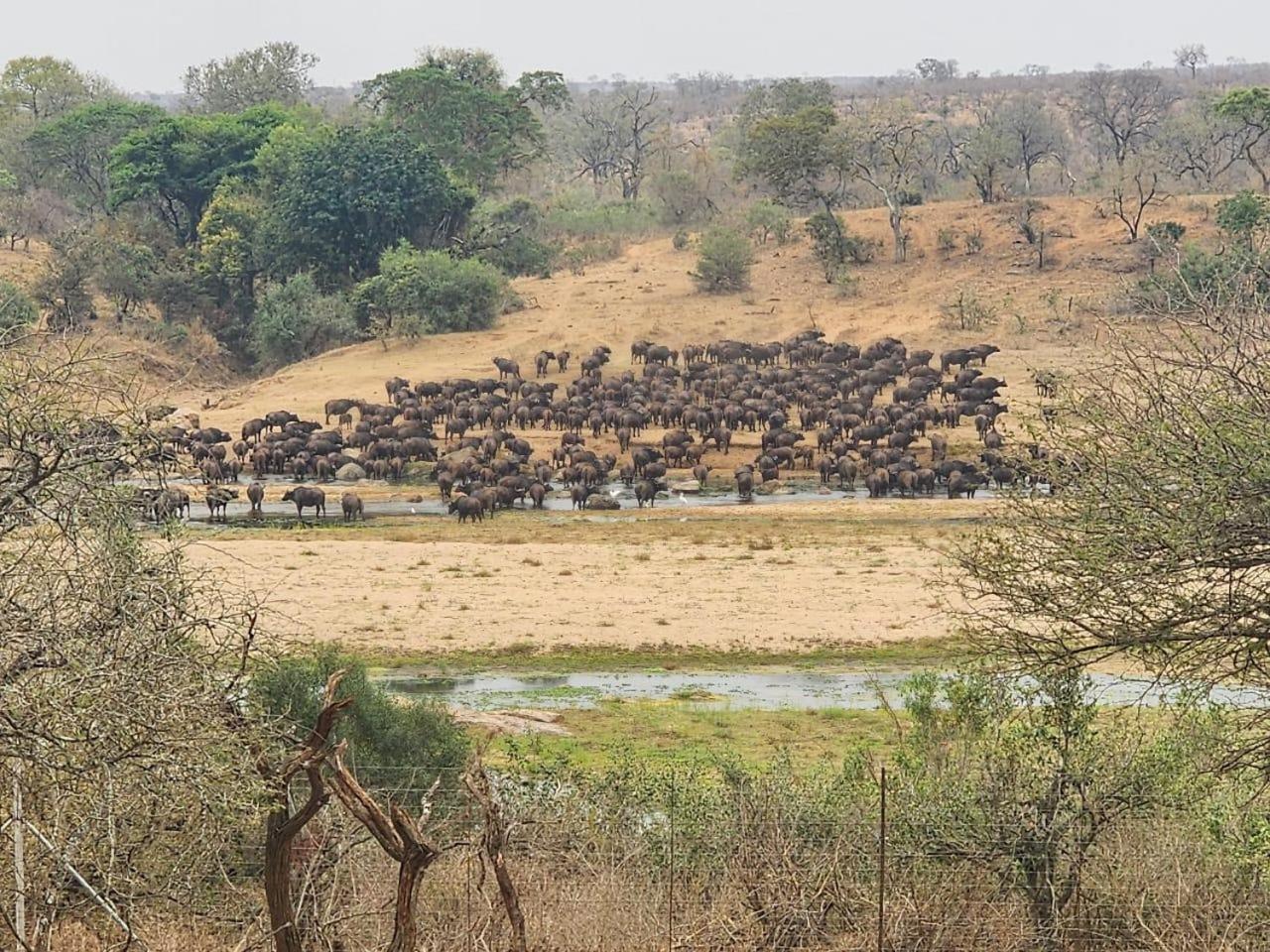 玛洛斯帕克Marloth Kruger View公寓 外观 照片